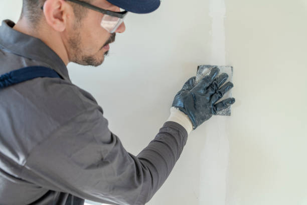 Trusted North Seekonk, MA Mold Removal Experts