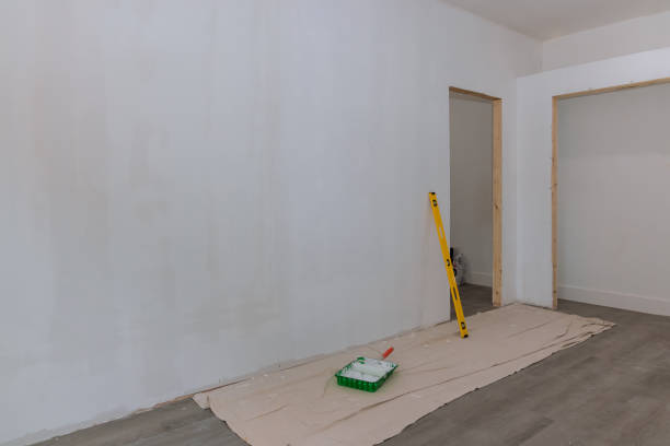 Best Black Mold Removal  in North Seekonk, MA