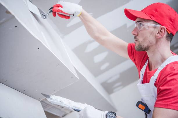  North Seekonk, MA Mold Removal Pros